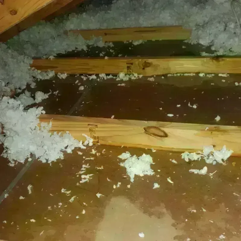 Attic Water Damage in Green Meadows, OH